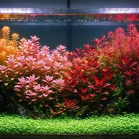 一夜断电团灭一缸鱼：8.6万买的19条没了——沃尔达事件还在初查，双11先别把"保命设备"接上联网排插