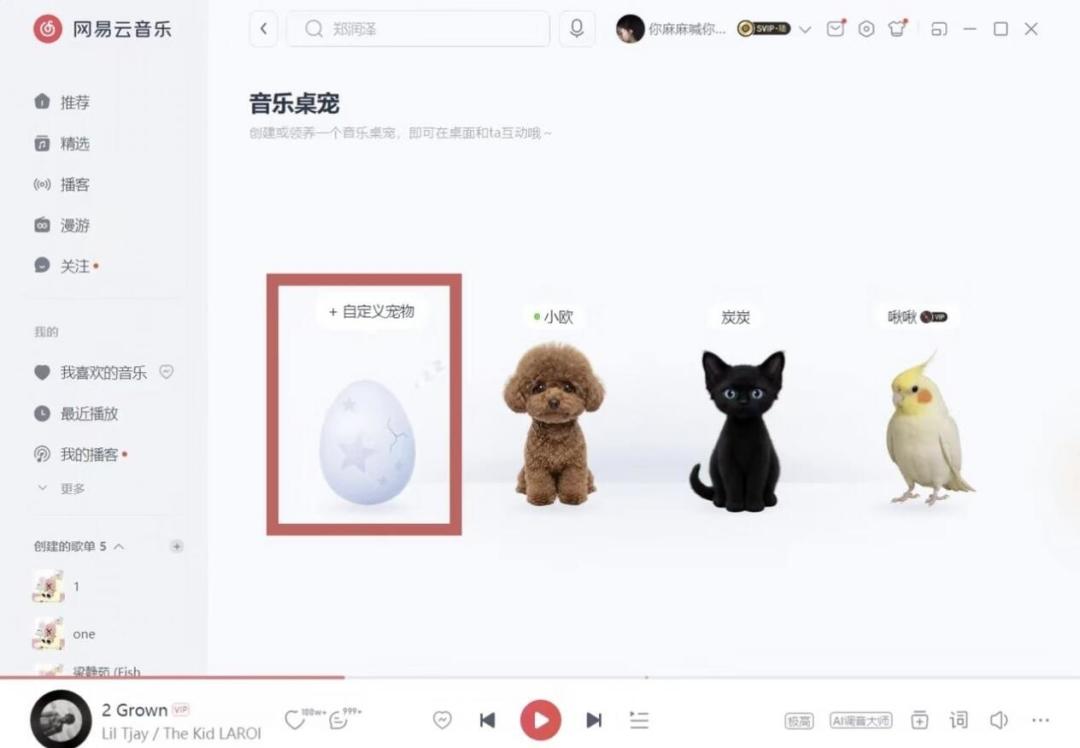 网易云「桌宠」刷屏:猫狗免费、玄凤疑似锁会员,入口、付费边界和自家宠物照片的用法,先看清再领养