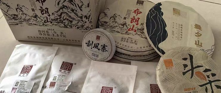 福海茶厂易武刮风寨，古树普洱生茶品鉴好茶✨