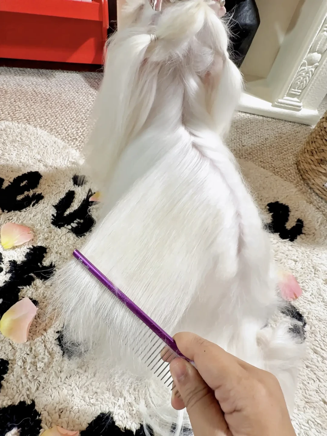 狗狗被加收开结费？先分清结卡在哪层，再决定买哪把梳