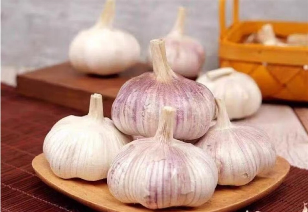 吃点大蒜真的能降血糖:但不能替代正规降糖治疗
