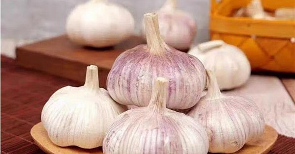 吃点大蒜真的能降血糖：但不能替代正规降糖治疗