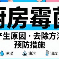 厨房霉菌：产生原因、去除方法、预防措施