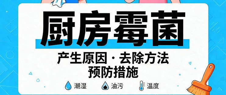 厨房霉菌：产生原因、去除方法、预防措施