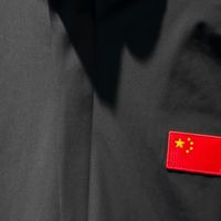  安踏国旗版羽绒服｜300g+95绒暖到像裹棉被