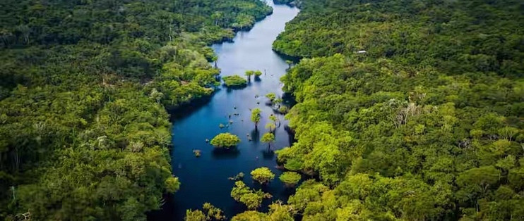 选鱼油别只看总量：八款标签逐项对照记