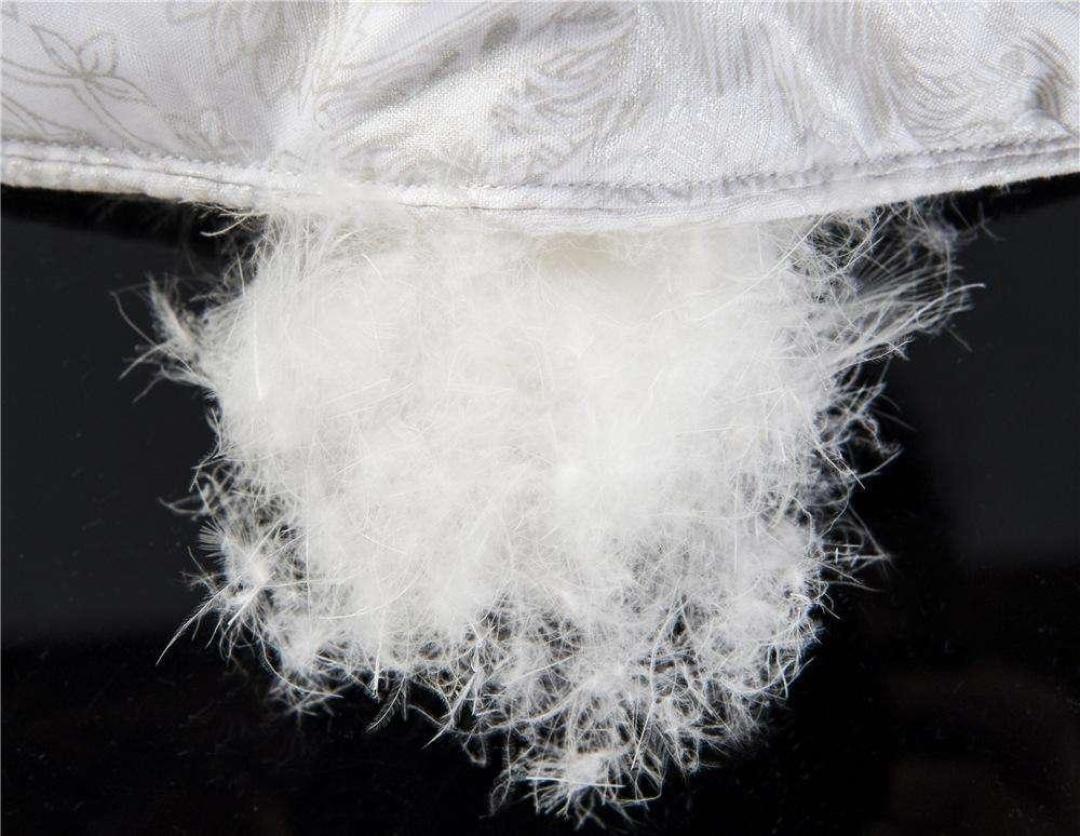 你花「羽绒」的钱买的棉服，可能一根羽绒都没有