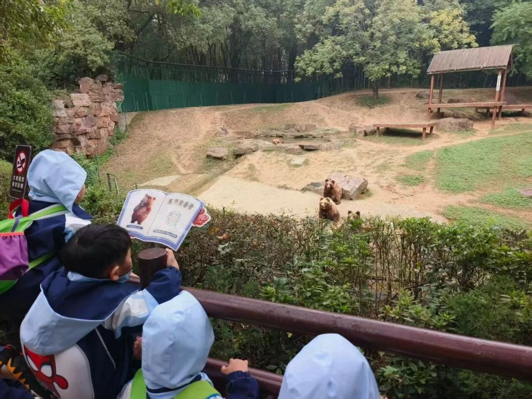 寒假研学营没敢报,我把9个价格样本扒了一遍(附5条挑选清单)