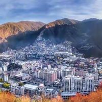 高纯 rTG 鱼油包装上的 98% 指什么？聊聊我怎么看这六款的标签