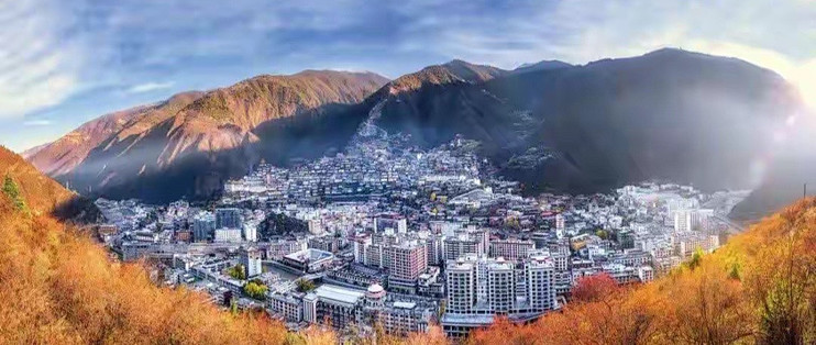 高纯 rTG 鱼油包装上的 98% 指什么？聊聊我怎么看这六款的标签
