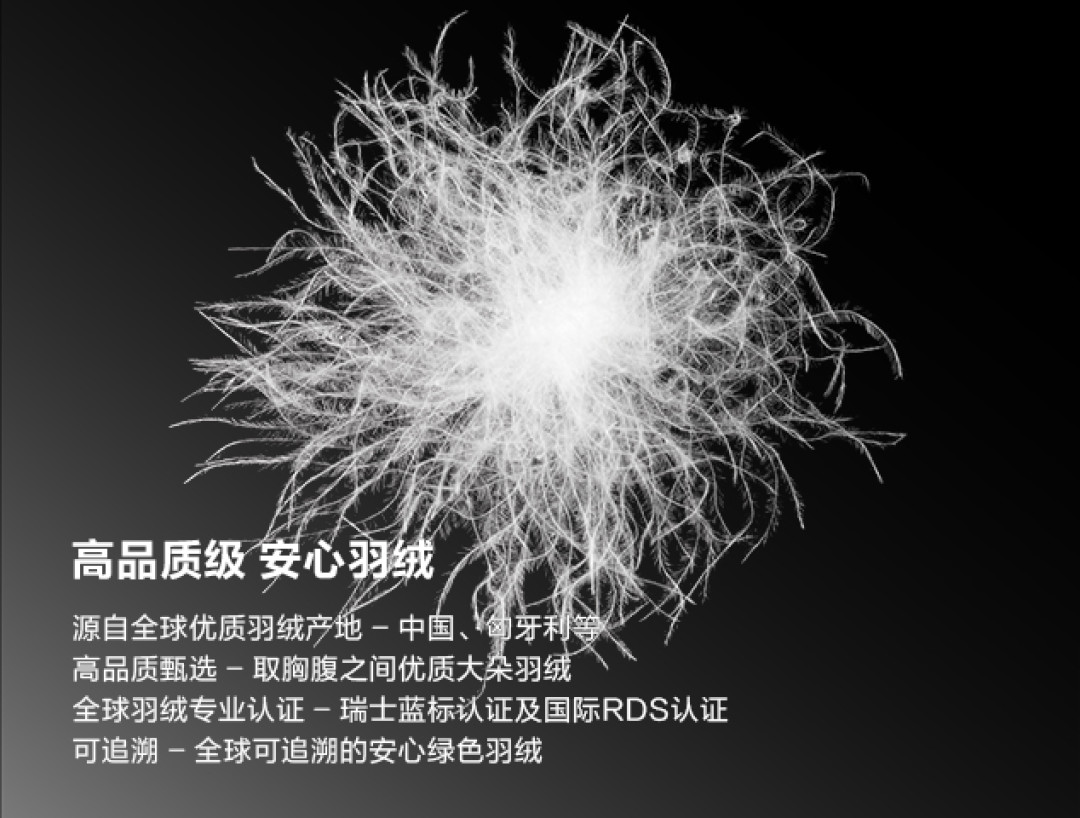 波司登50年做了什么?从1976年专注羽绒服到走向全球