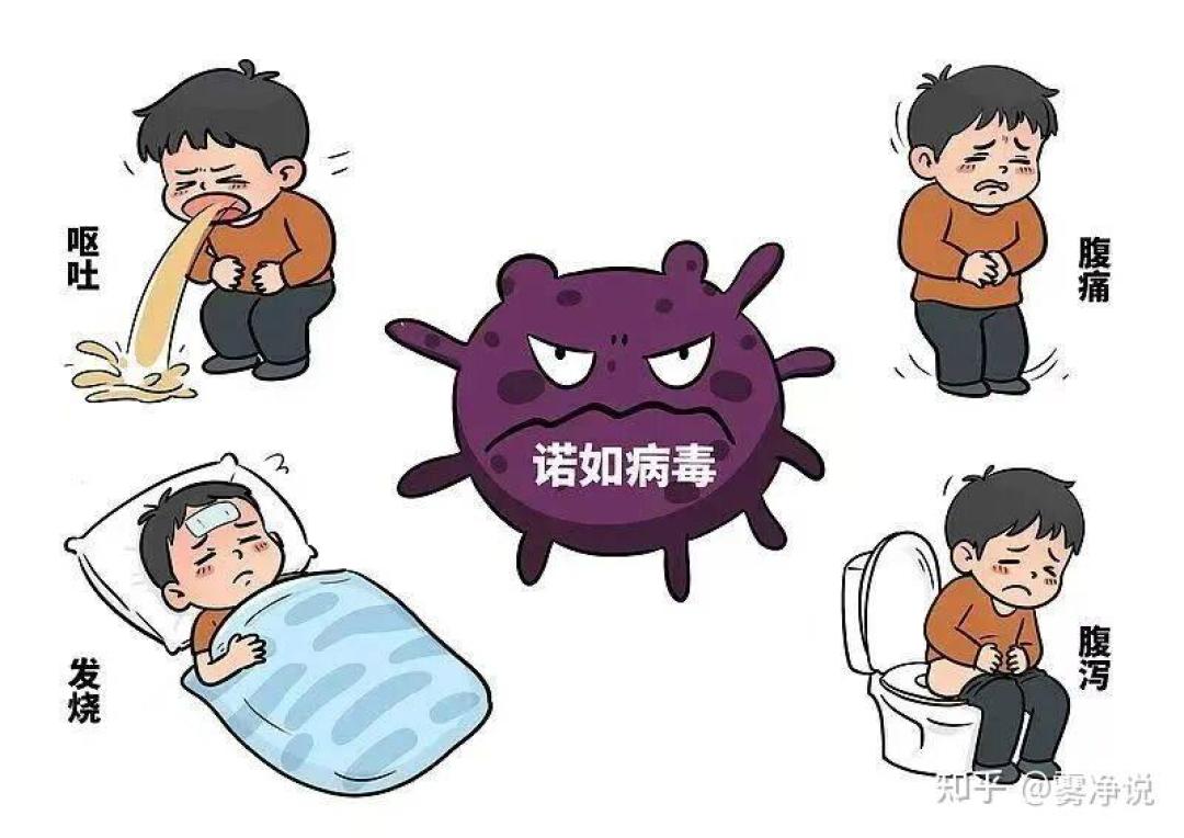 诺如只要10个颗粒就能感染,酒精还杀不死:高发期别指望免洗洗手液