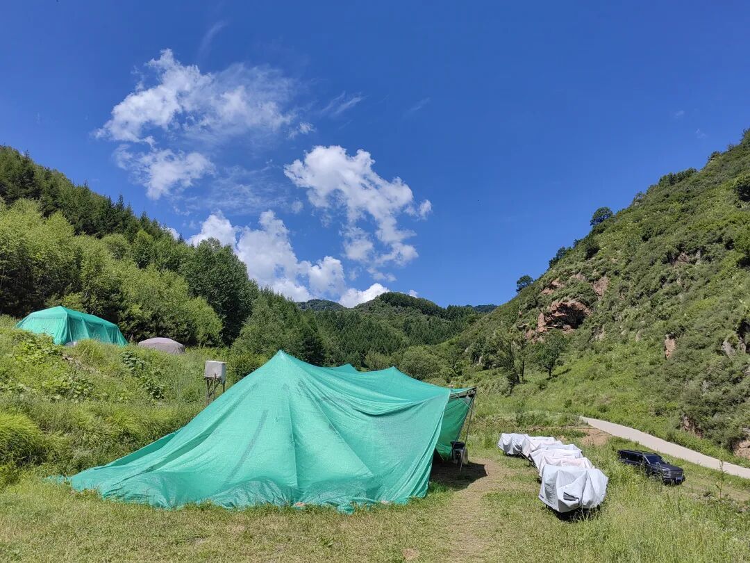 带娃露营先别买装备!5个拎包营地,账和坑排完了