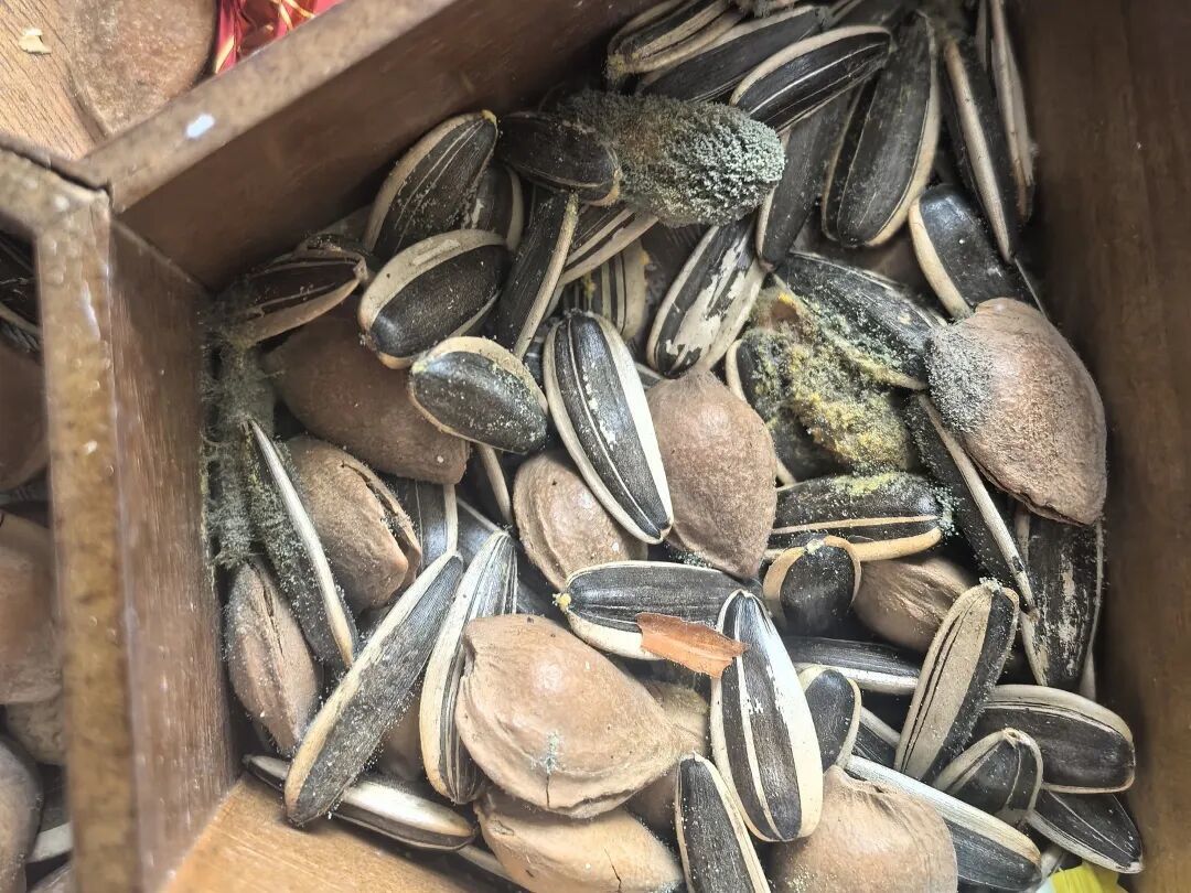 比砒霜毒68倍的冰箱爆文翻车了!真正的毒素温床不在冰箱在阳台