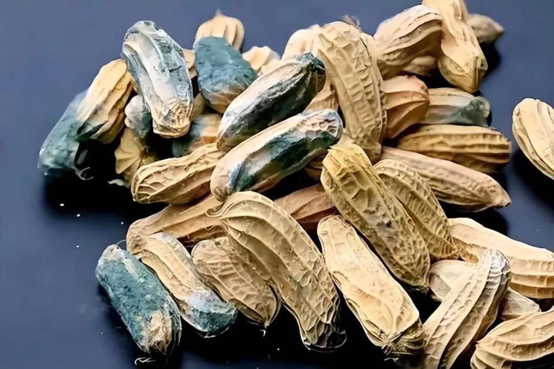 比砒霜毒68倍的冰箱爆文翻车了!真正的毒素温床不在冰箱在阳台