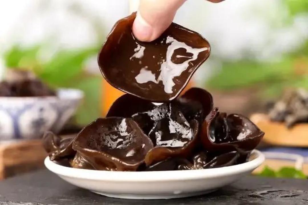 比砒霜毒68倍的冰箱爆文翻车了!真正的毒素温床不在冰箱在阳台