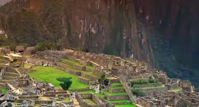 藻油DHA选购：计算实际含量