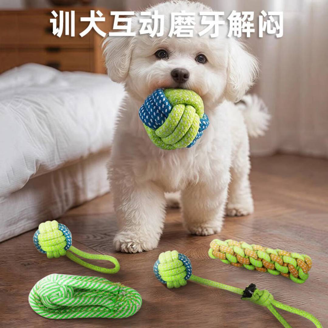 狗玩具越耐咬越好?先分咬法,再查安全红线