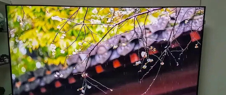 双十一换电视别急着下单：先看清“屏上”和“屏下”的区别