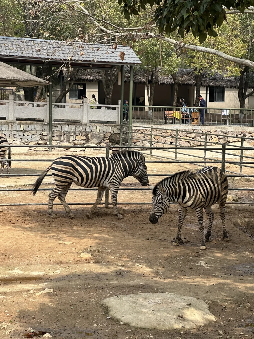 带4岁娃湖州安吉住一晚：6个网红点的身高线，我排成一张表