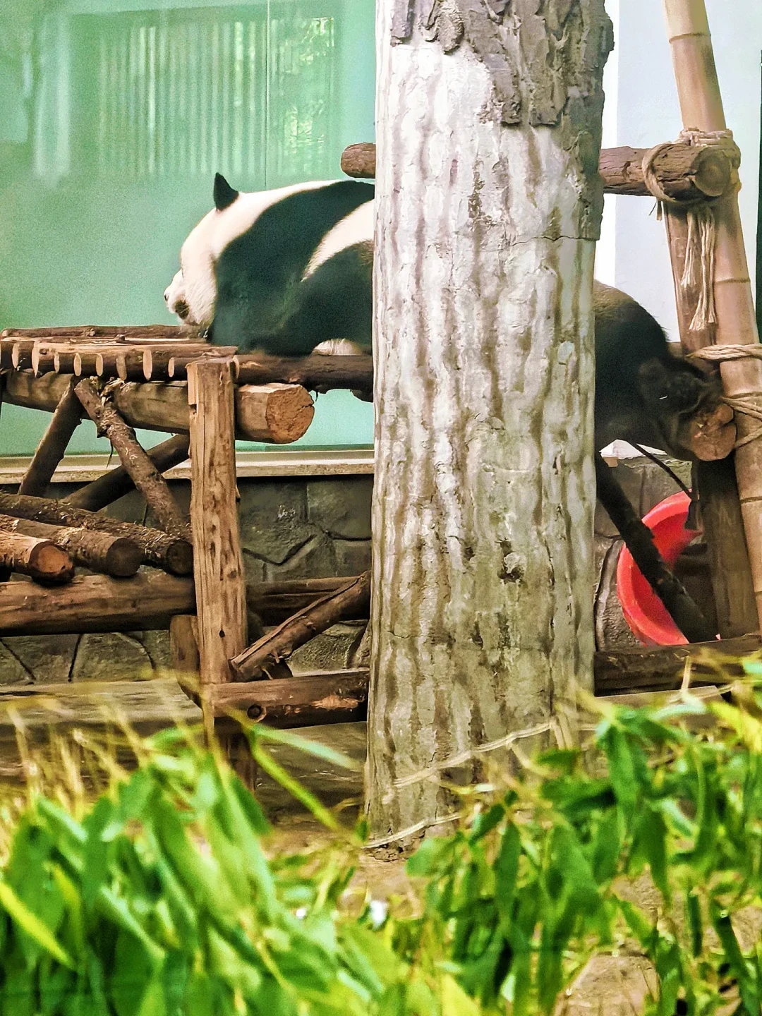 带4岁娃湖州安吉住一晚：6个网红点的身高线，我排成一张表