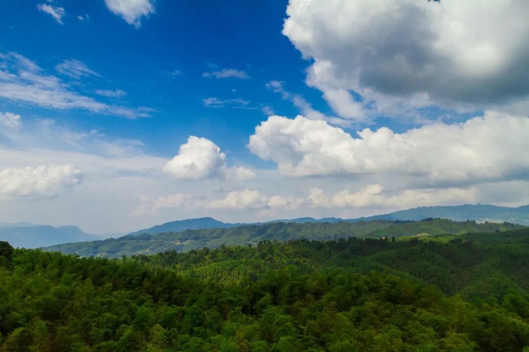 带4岁娃湖州安吉住一晚：6个网红点的身高线，我排成一张表