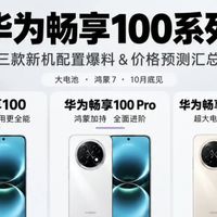 畅享100 Pro Max 512G版独享麒麟8020：麒麟8020A差在哪，顶配溢价值不值