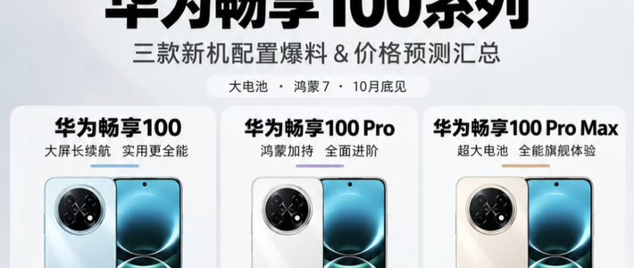 畅享100 Pro Max 512G版独享麒麟8020：麒麟8020A差在哪，顶配溢价值不值