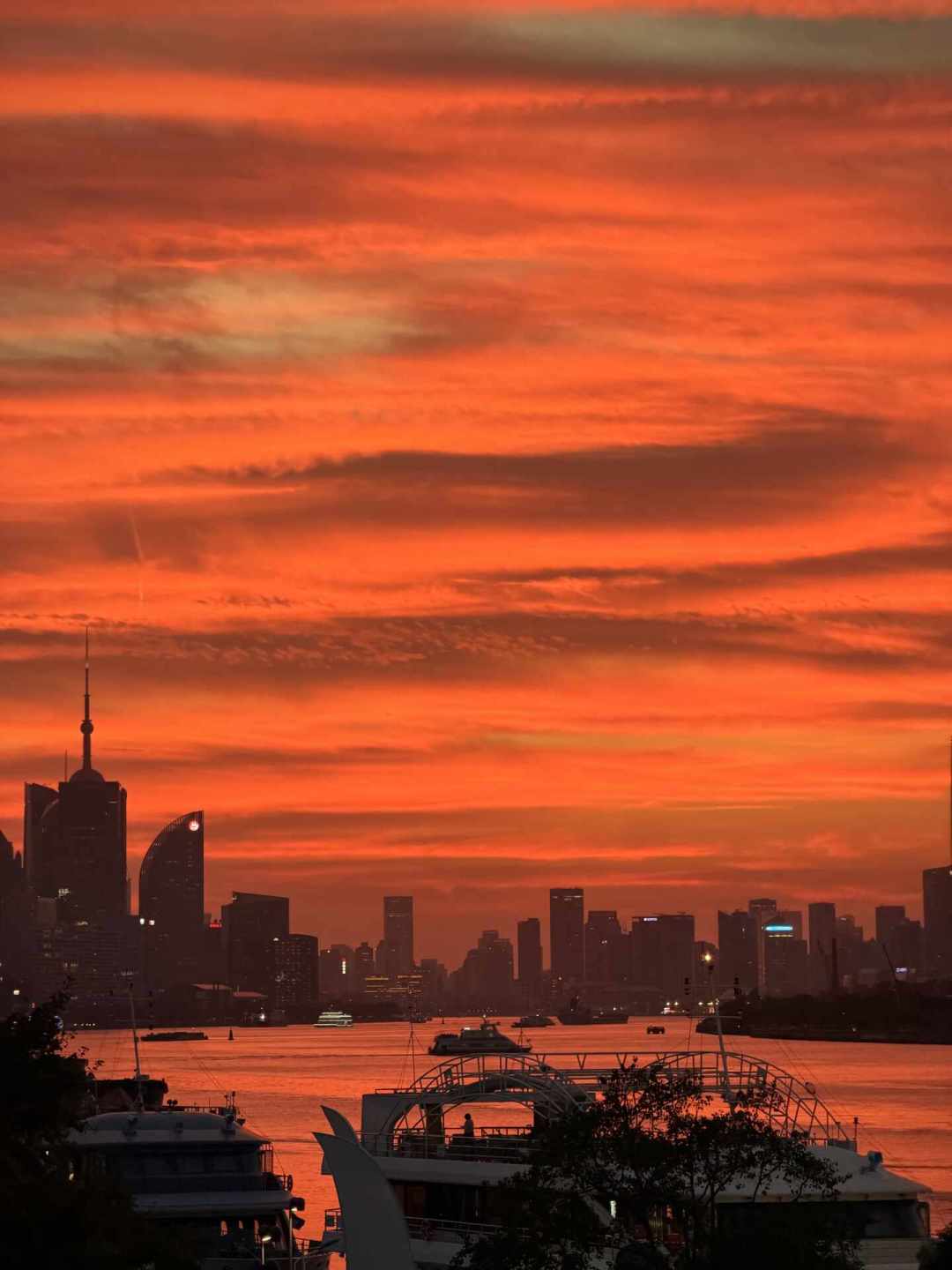 带娃和外婆登高看上海,值不值?3个观景台和免费点排成一笔账