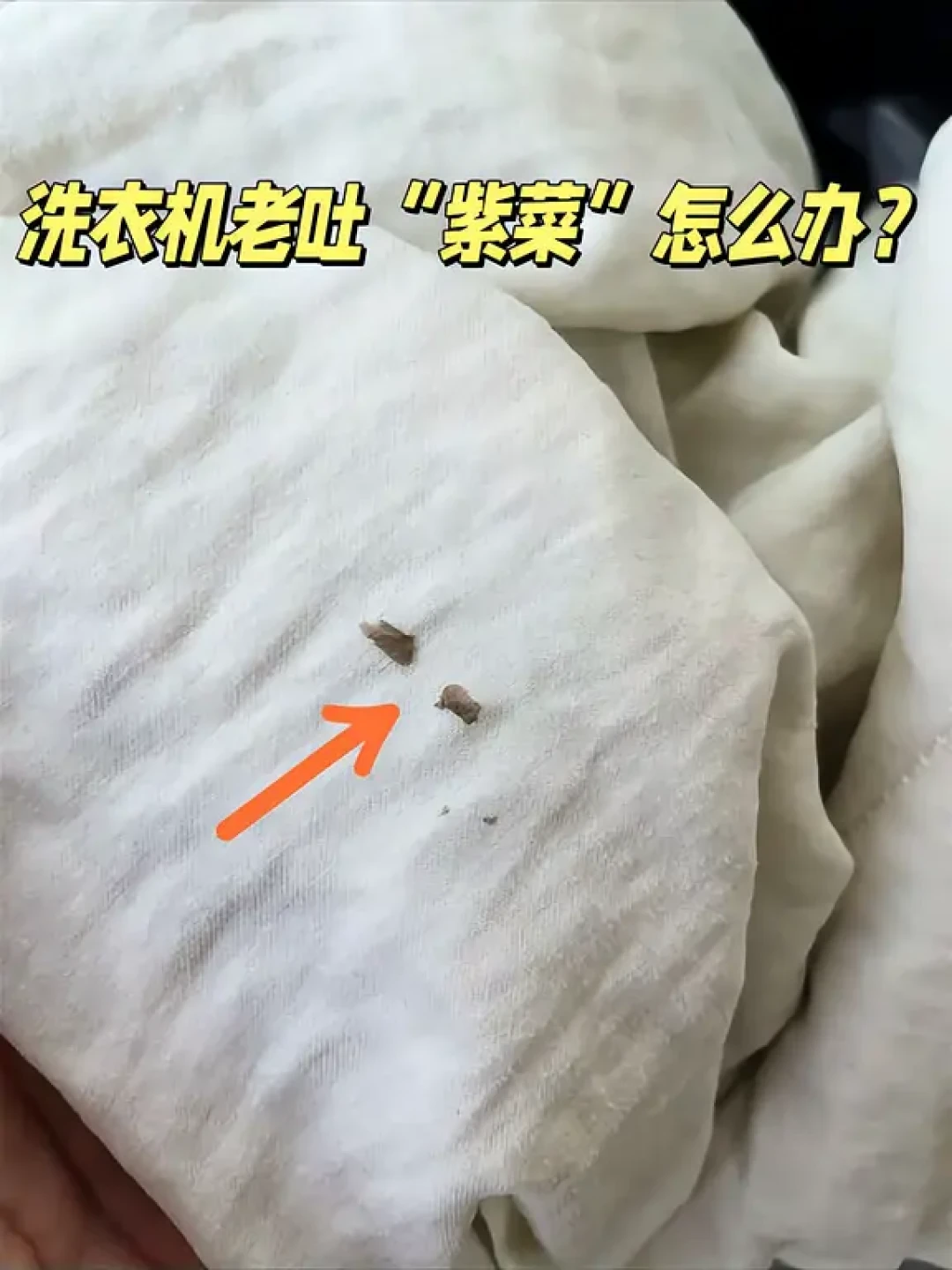 洗衣机老吐“紫菜”?先别急着拆机:多半是老垢泡松了,先把3步空机流程走完