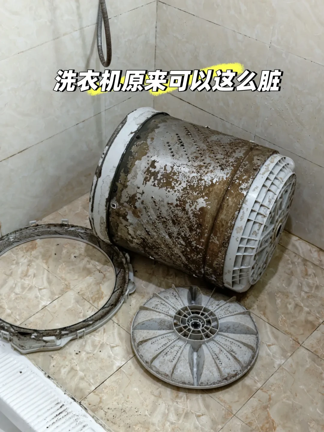 洗衣机老吐“紫菜”?先别急着拆机:多半是老垢泡松了,先把3步空机流程走完