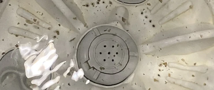洗衣机老吐“紫菜”？先别急着拆机：多半是老垢泡松了，先把3步空机流程走完