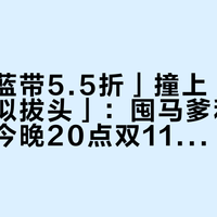 「门店蓝带5.5折」撞上「水货名士疑似拔头」：囤马爹利的对账党，今晚20点双11闸门前，先把税费、价差、真伪这三本账对完
