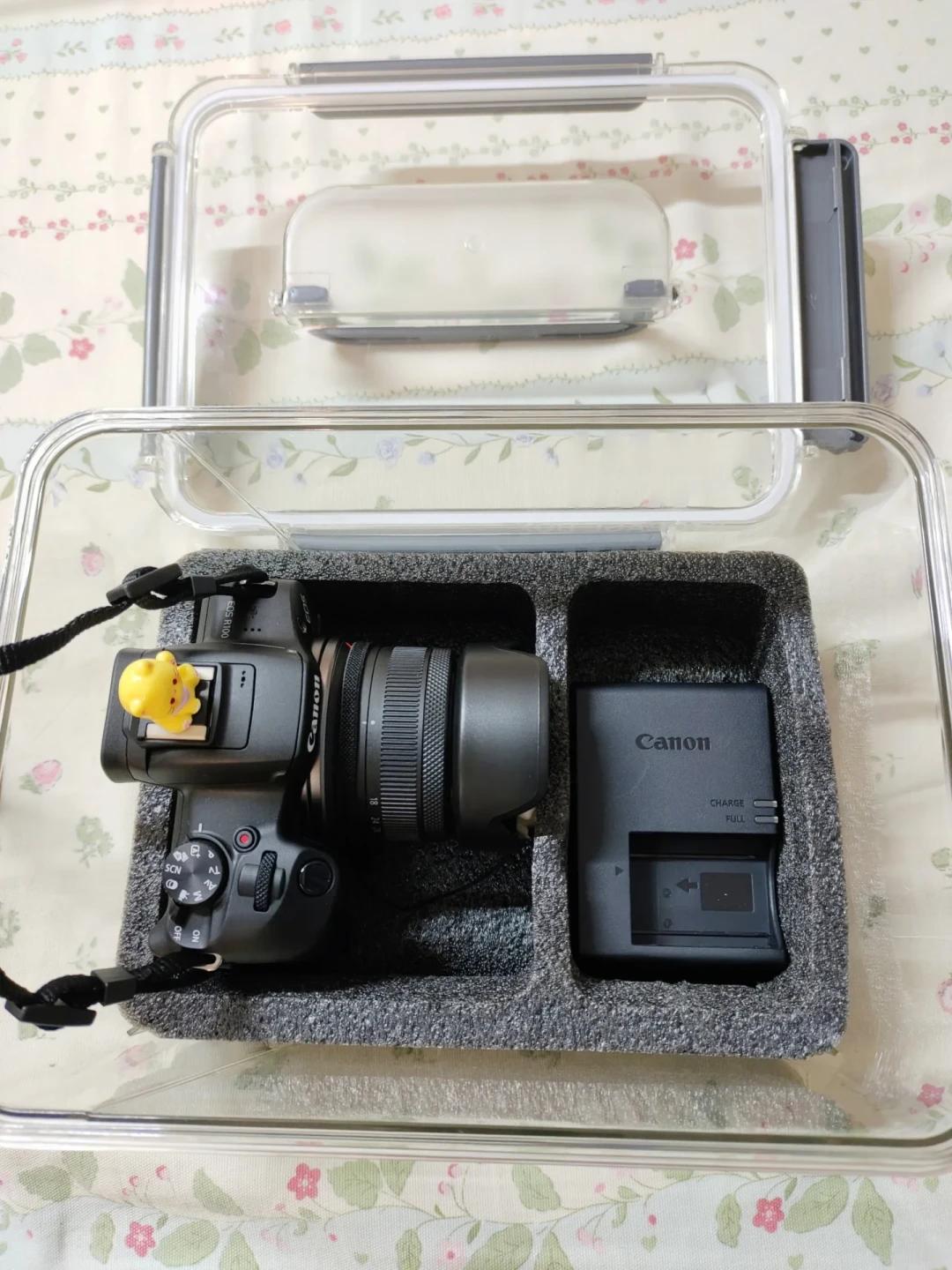 防潮箱进了双11决赛圈：摆开全网近30条防潮帖，先把器材、胶卷、底片分成三个湿度档，再算清长霉账和残值账，决定这个秋天谁该掏钱