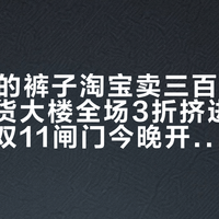 「799的裤子淘宝卖三百多」撞上「百货大楼全场3折挤进试衣间」：双11闸门今晚开，蹲UA训练装备的对账党，下单前先把价梯、渠道、产品线、尺码这四本账对完