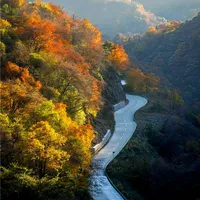 红叶指数上线、多地免票加码 | 国内旅游10.20日报