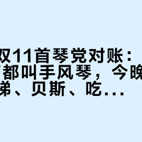 手风琴双11首琴党对账：300元和20万都叫手风琴，今晚开闸前先把价梯、贝斯、吃灰这三本账对完