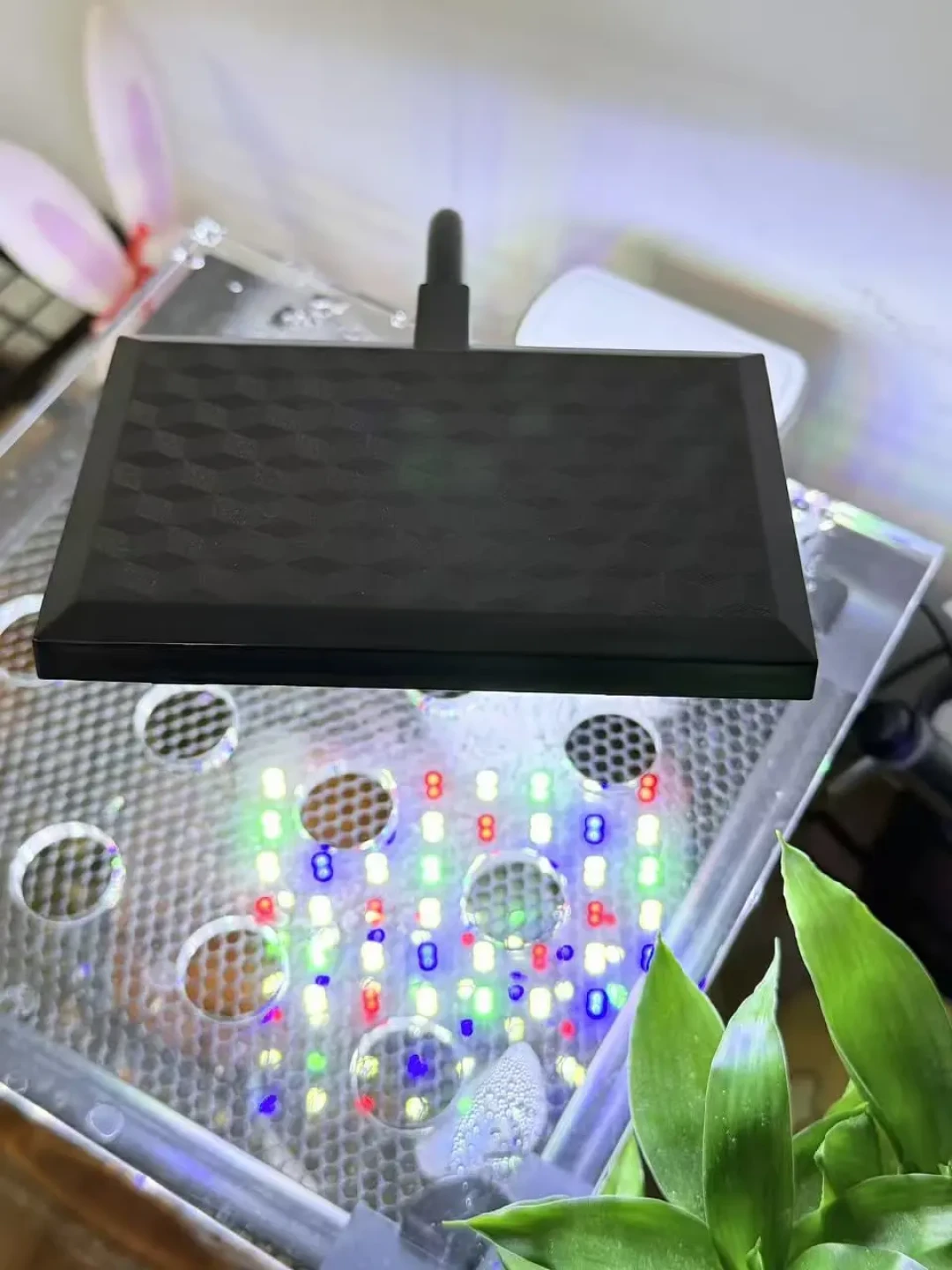 水草灯不用卡着太阳开:上班族挪到晚上,先过三道关