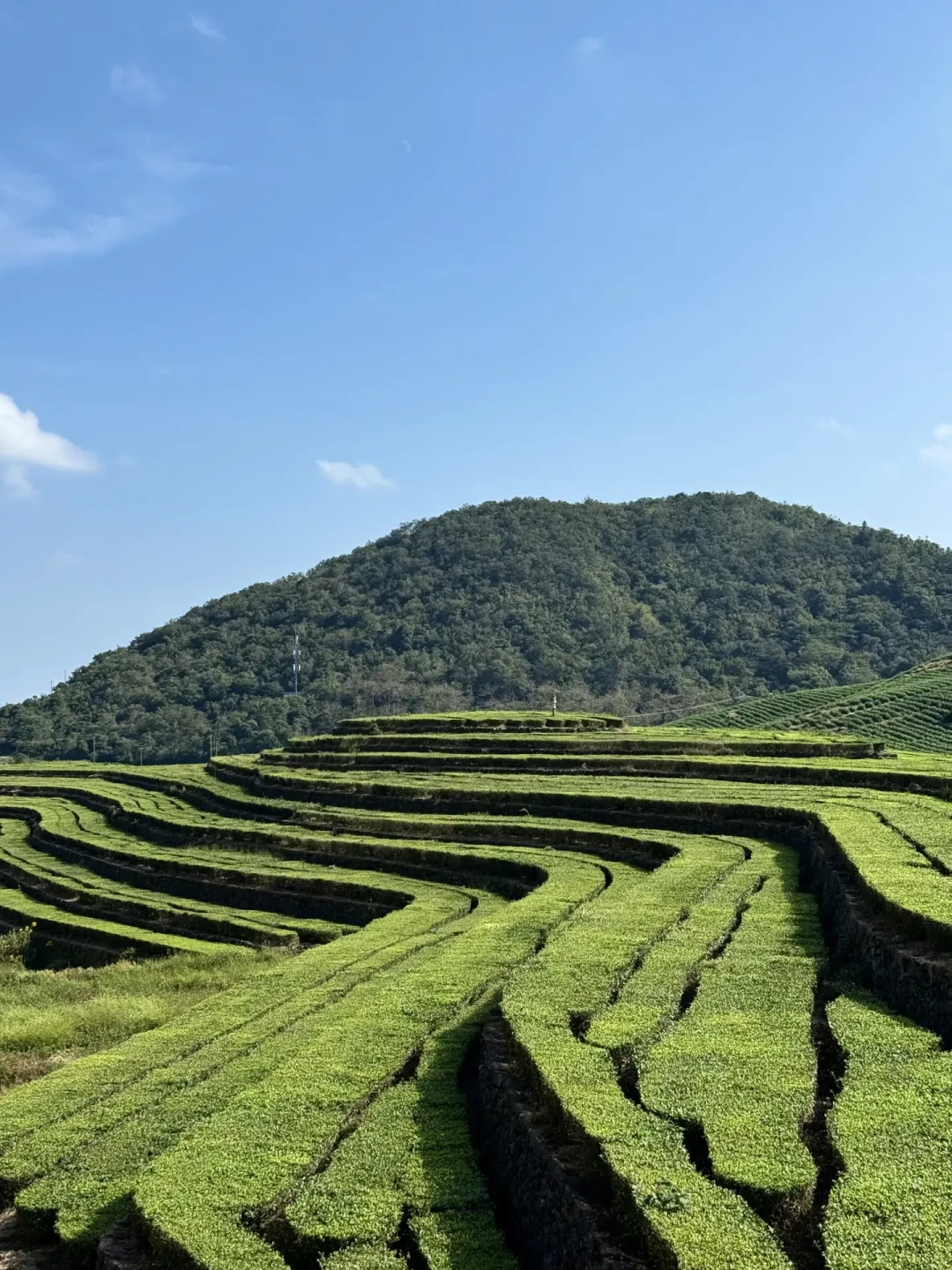 始祖鸟炸山一年后,加拿大鹅已跟进:付款前,先看看那片草地恢复得如何