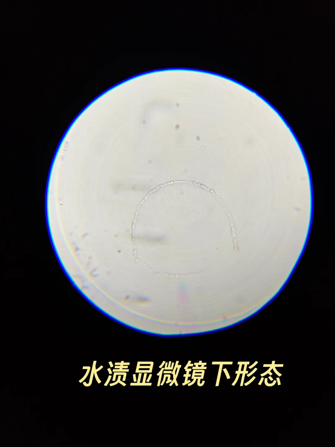 蔡司的眼镜布根本不是用来擦镜片的:双11前,我把10个