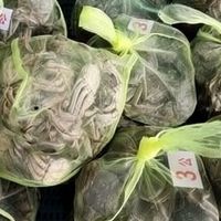 大闸蟹跌到5元一只，这波该不该囤