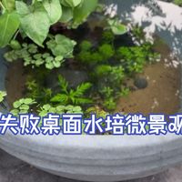 桌面养花工具别乱买！尖嘴壶花艺剪小铲子选购指南，帮你避开智商税