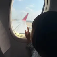 推车能带进客舱吗，还是得托运？带娃乘机前先弄懂规则