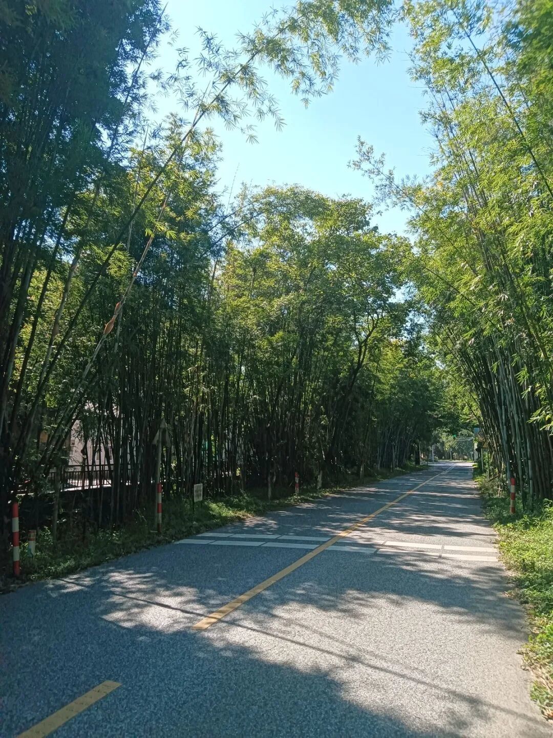 广州禁摩通告还剩3个月到期:十月这三轮激动都不是信号,买车的钱先别掏