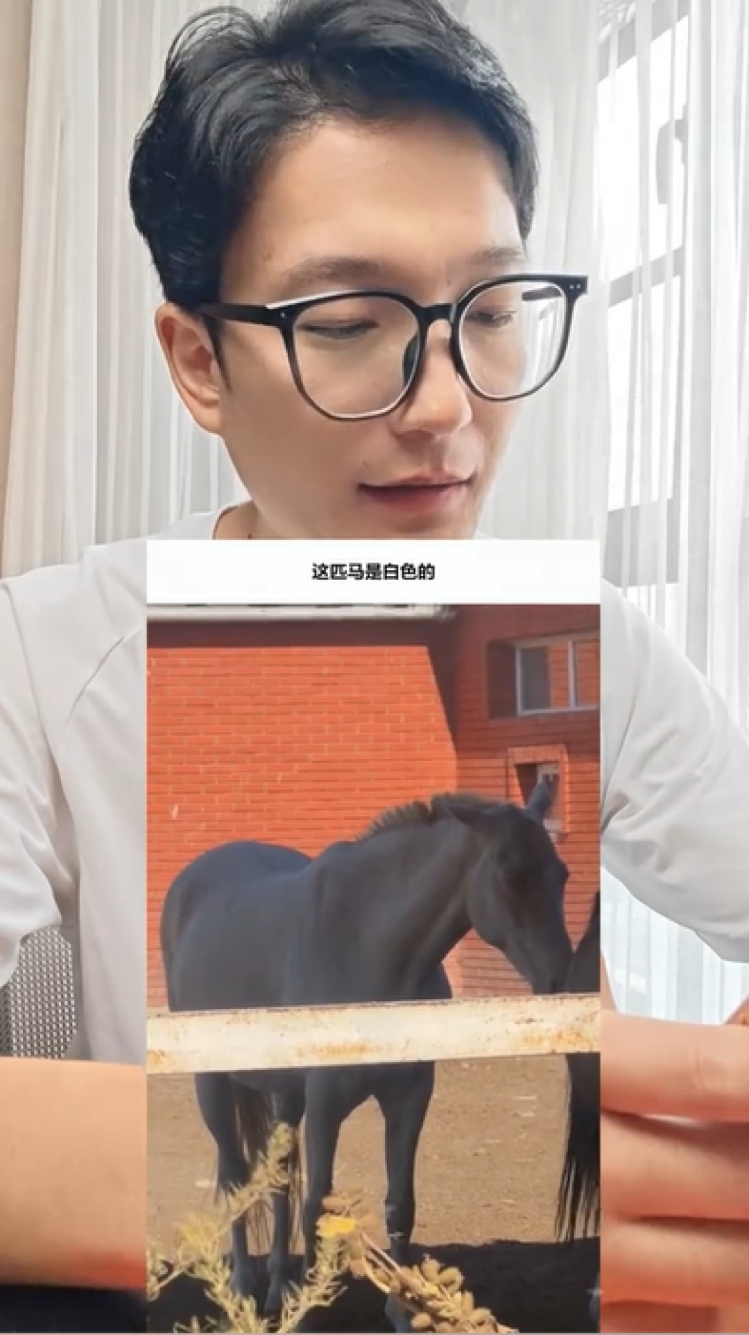 网友又吵翻了:到底是黑马还是白马?