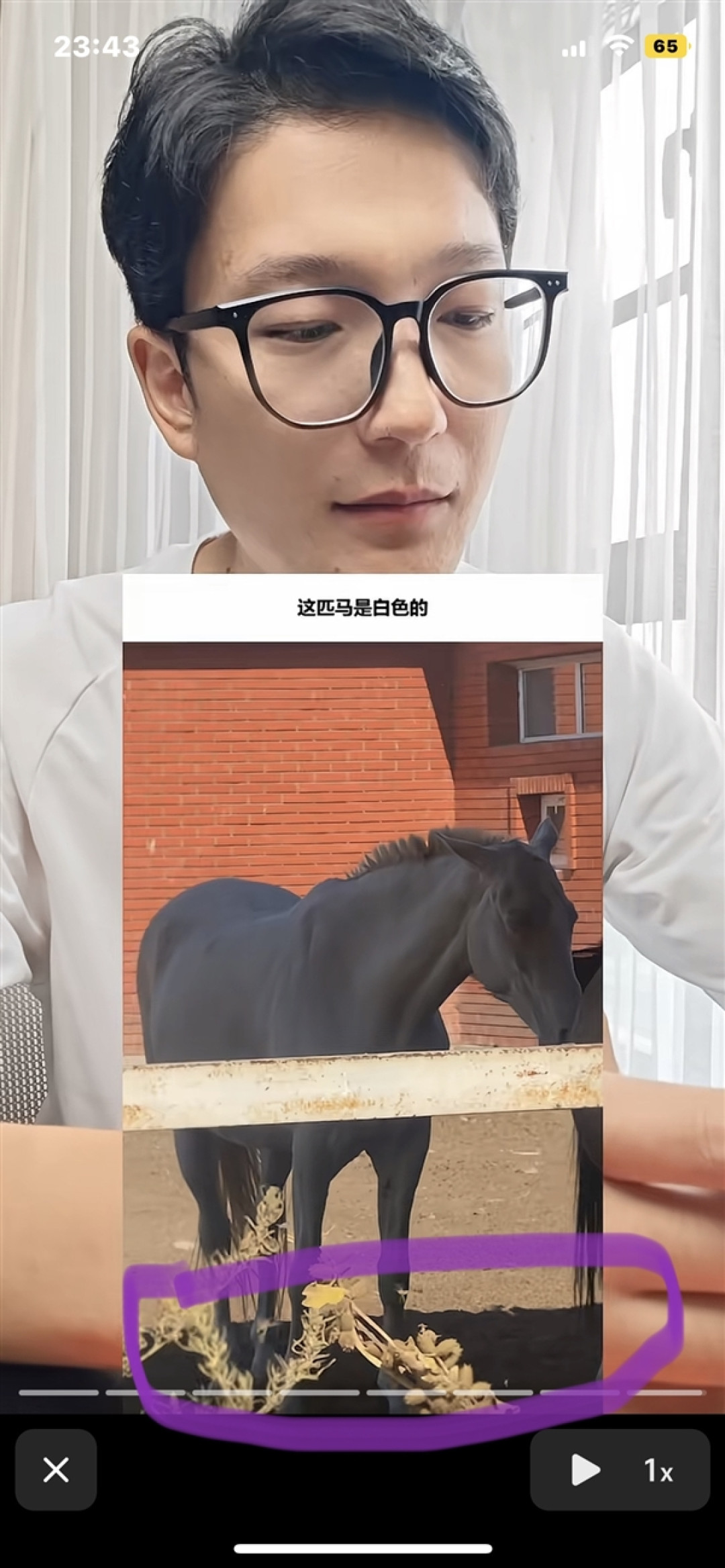 网友又吵翻了:到底是黑马还是白马?