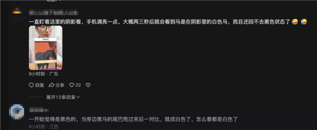 网友又吵翻了:到底是黑马还是白马?