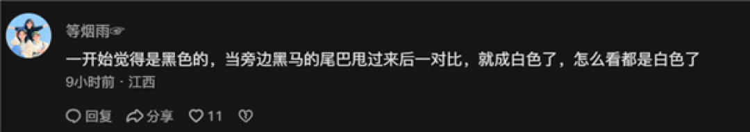 网友又吵翻了:到底是黑马还是白马?