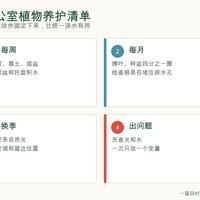 办公室绿植避坑指南：八成死亡都是因为位置摆错了