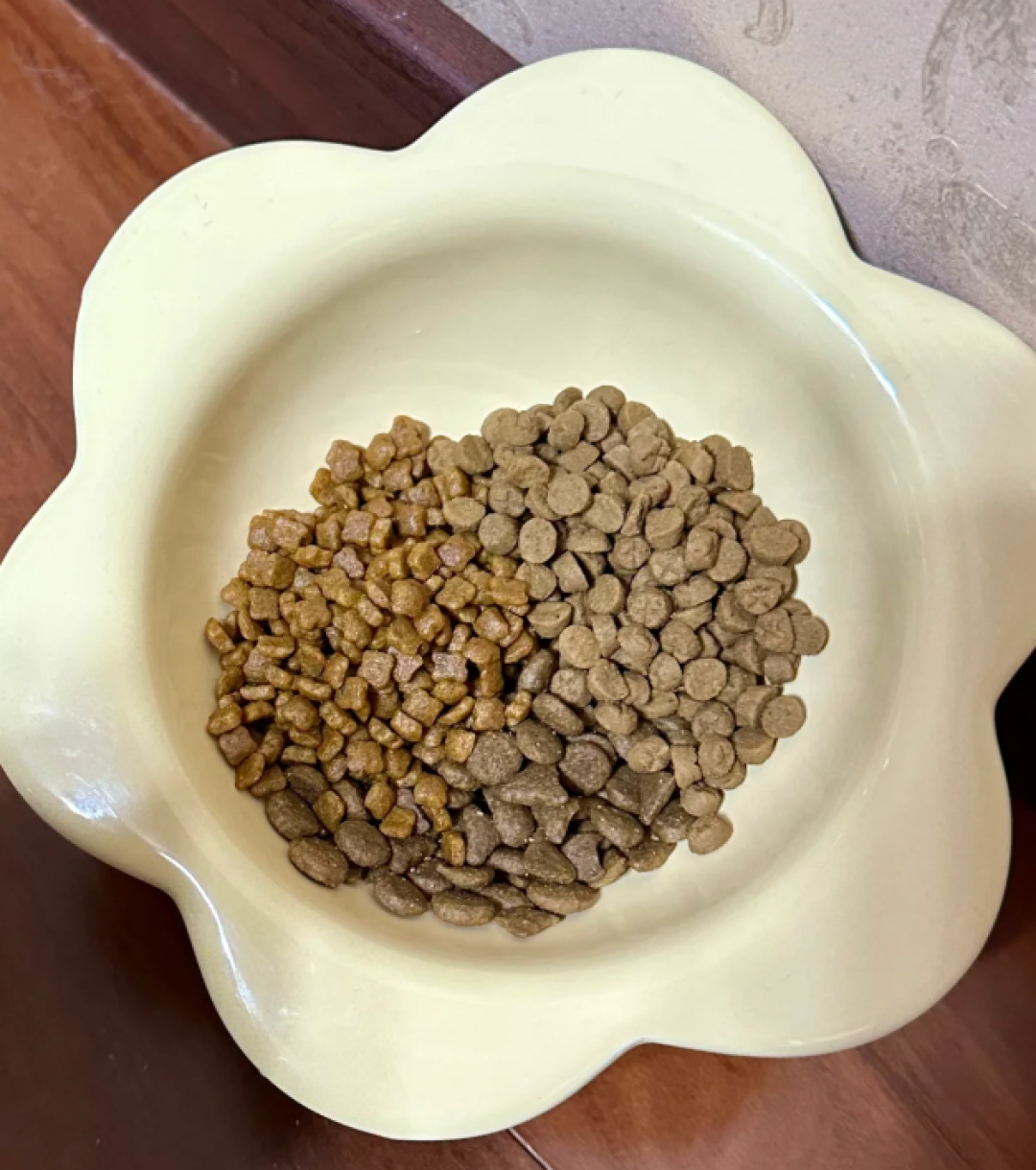 双11大袋猫粮到手:倒桶还是带袋装,先算你能喂多少天